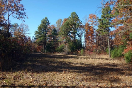 Land For Sale In Shannon County Missouri That Borders State - image 11