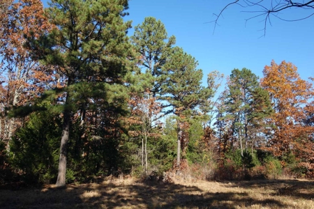 Land For Sale In Shannon County Missouri That Borders State - image 10