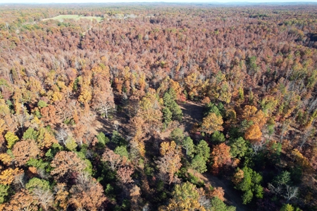 Land For Sale In Shannon County Missouri That Borders State - image 17