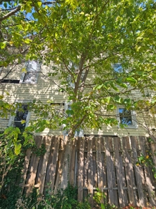 Home For Auction - image 30