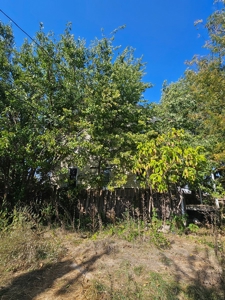 Home For Auction - image 36