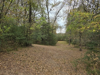 Kerr Lake Country Home & Shop - 5 Acres - image 33