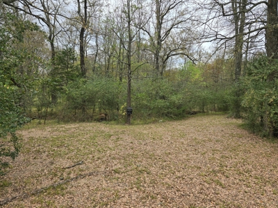Kerr Lake Country Home & Shop - 5 Acres - image 37