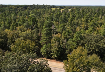 Land For Sale In Cass County Bivins, Texas - image 7