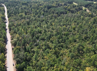 Land For Sale In Cass County Bivins, Texas - image 2