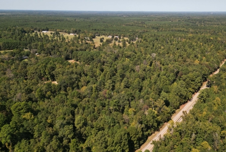 Land For Sale In Cass County Bivins, Texas - image 5