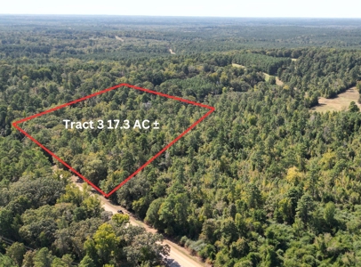 Land For Sale In Cass County Bivins, Texas - image 1