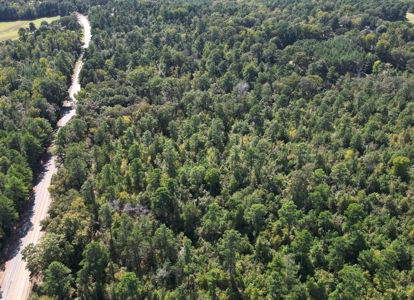 Land For Sale In Cass County Bivins, Texas - image 4