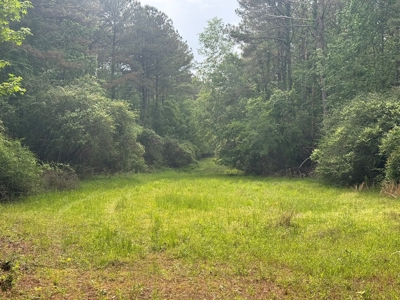 45 Acre Timberland Hunting Lincoln County South MS - image 4