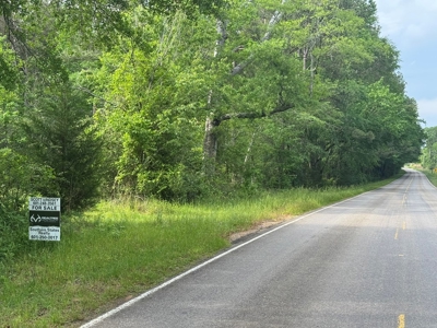 45 Acre Timberland Hunting Lincoln County South MS - image 2