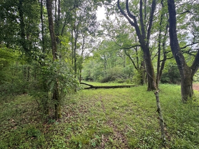 45 Acre Timberland Hunting Lincoln County South MS - image 18