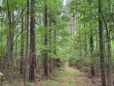 45 Acre Timberland Hunting Lincoln County South MS - image 1