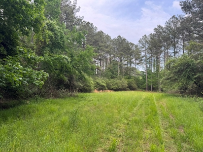 45 Acre Timberland Hunting Lincoln County South MS - image 19