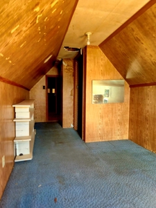 Historic Home for Sale in Fayette, MO, Fixer Upper - image 7