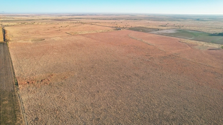 West Texas CRP Tract with Hunting Potential in Lamb County - image 29