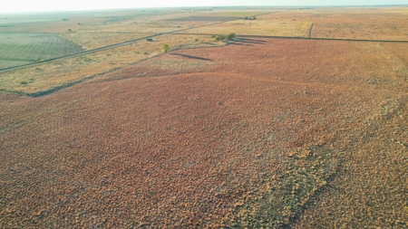 West Texas CRP Tract with Hunting Potential in Lamb County - image 15