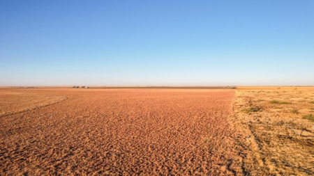 West Texas CRP Tract with Hunting Potential in Lamb County - image 11