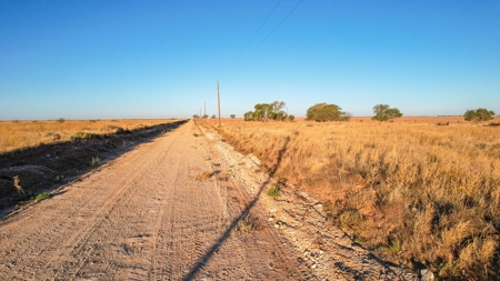 West Texas CRP Tract with Hunting Potential in Lamb County - image 19