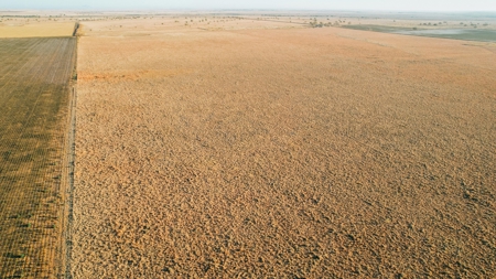 West Texas CRP Tract with Hunting Potential in Lamb County - image 26
