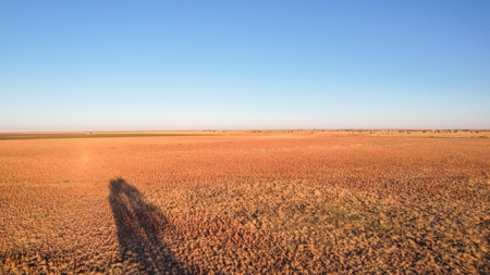 West Texas CRP Tract with Hunting Potential in Lamb County - image 7