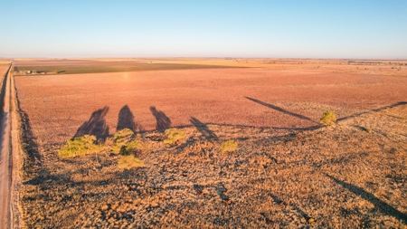 West Texas CRP Tract with Hunting Potential in Lamb County - image 3