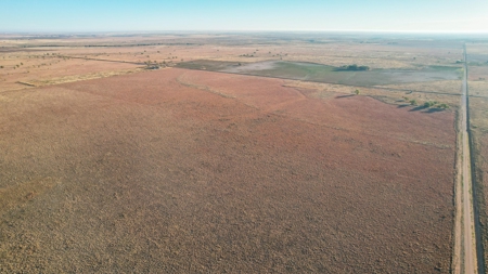 West Texas CRP Tract with Hunting Potential in Lamb County - image 28