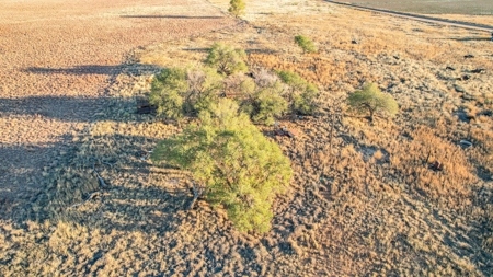 West Texas CRP Tract with Hunting Potential in Lamb County - image 20