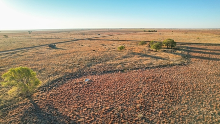 West Texas CRP Tract with Hunting Potential in Lamb County - image 16
