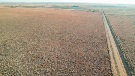 West Texas CRP Tract with Hunting Potential in Lamb County - image 27