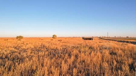 West Texas CRP Tract with Hunting Potential in Lamb County - image 2