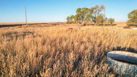 West Texas CRP Tract with Hunting Potential in Lamb County - image 23