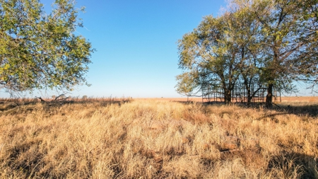 West Texas CRP Tract with Hunting Potential in Lamb County - image 24
