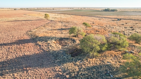 West Texas CRP Tract with Hunting Potential in Lamb County - image 25