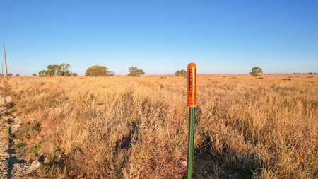 West Texas CRP Tract with Hunting Potential in Lamb County - image 18