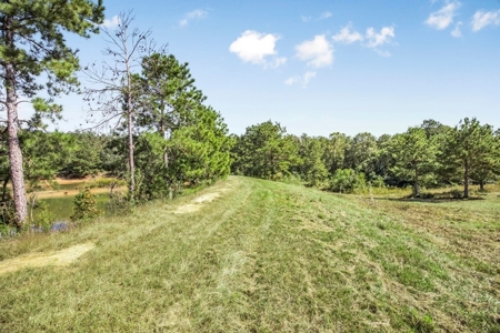 Affordable Land for Sale in Pike County, MS - image 8