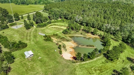Affordable Land for Sale in Pike County, MS - image 9
