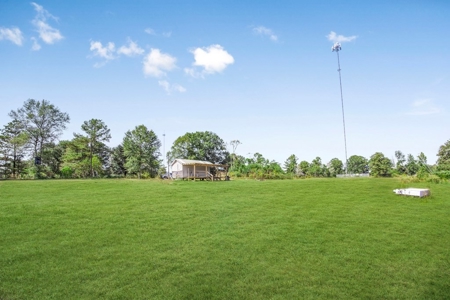 Affordable Land for Sale in Pike County, MS - image 7