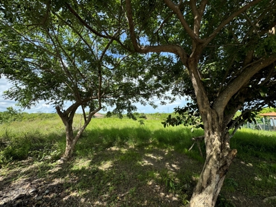 VALLE DE CORONA LAND, 1705 m2 - image 9