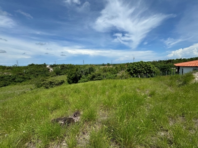 VALLE DE CORONA LAND, 1705 m2 - image 5