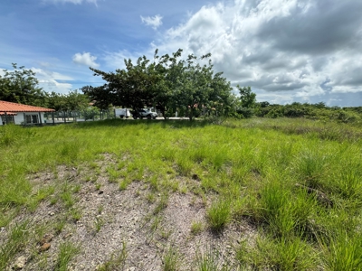 VALLE DE CORONA LAND, 1705 m2 - image 6