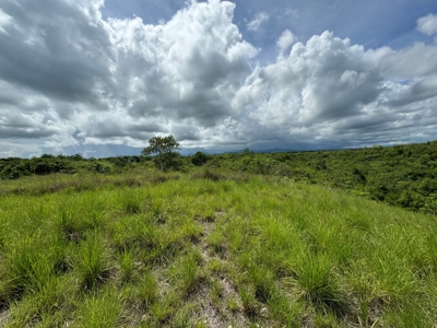 VALLE DE CORONA LAND, 1705 m2 - image 2