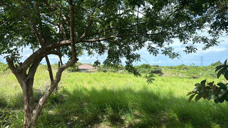 VALLE DE CORONA LAND, 1705 m2 - image 1