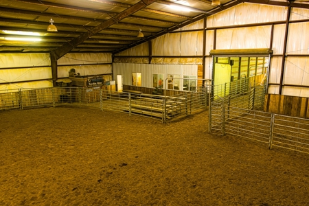 18 Acre Midwest Horse Ranch - Equine Training Facility - image 3