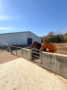18 Acre Midwest Horse Ranch - Equine Training Facility - image 27