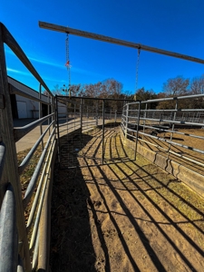 18 Acre Midwest Horse Ranch - Equine Training Facility - image 38