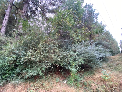 Land for Development in Center, TX - image 21