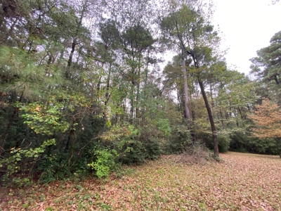 Land for Development in Center, TX - image 11