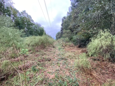 Land for Development in Center, TX - image 22