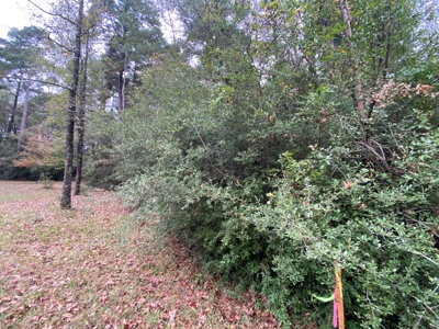 Land for Development in Center, TX - image 14