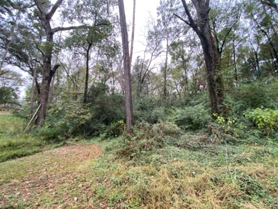 Land for Development in Center, TX - image 10